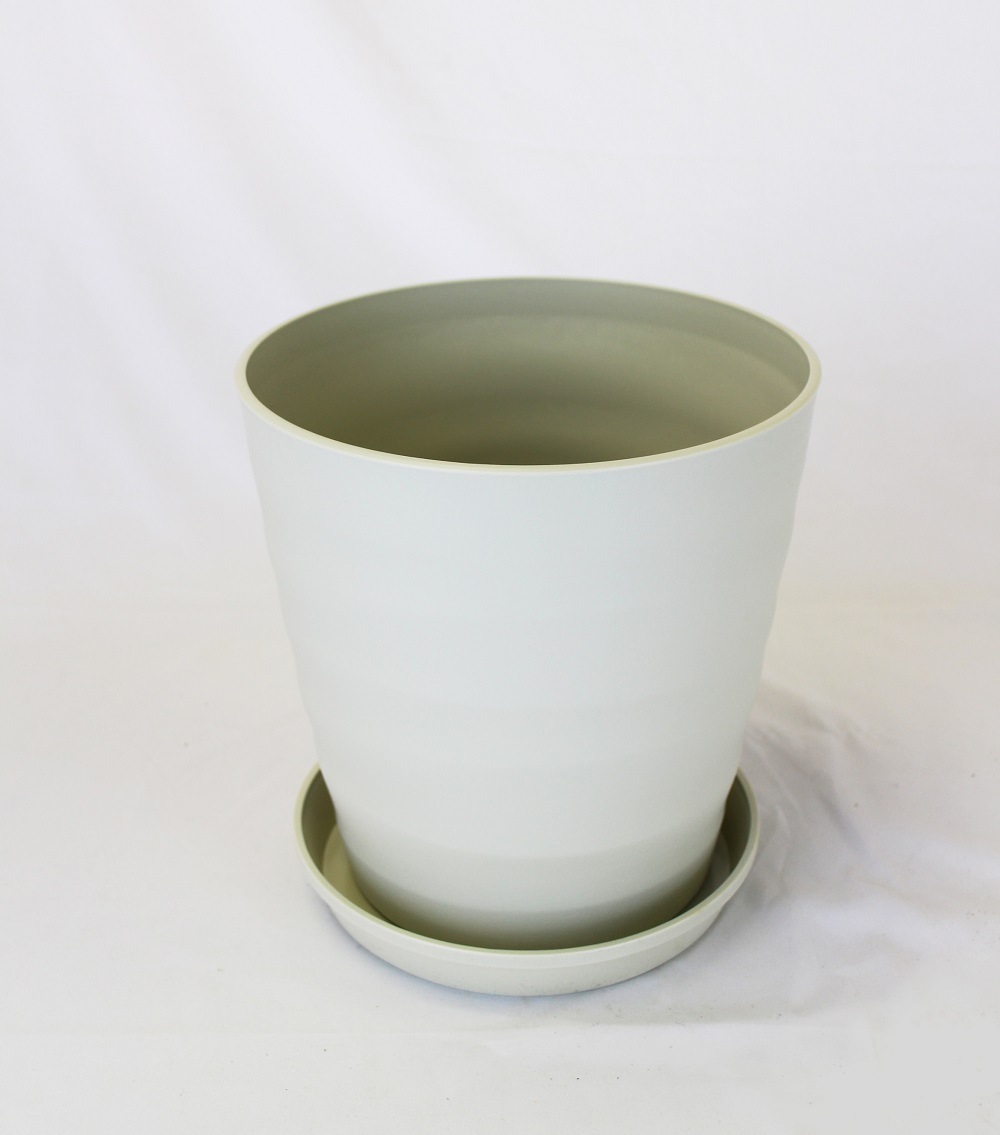   å ڥޥ䡼       ڡ   ȭ  ץȭ  ȭ     lemon  ̵ ͵