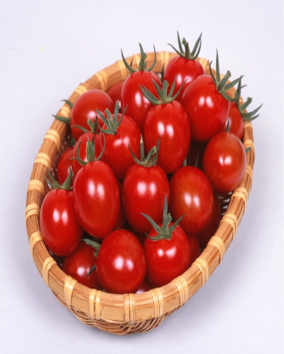 ��ͽ���������� ��� �� 3�� ���å� �Ťä� �ߥ˥ȥޥ� 9����ݥå� �䤵�� �ץ��ȥޥ� mini tomato �����ڱ� ����̵���ڣ����Ⱦ���缡ȯ����