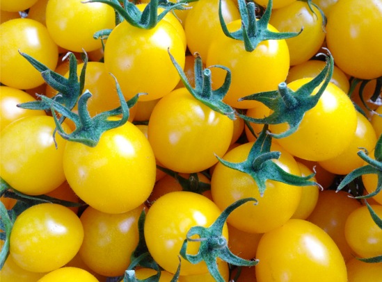 ��ͽ���������� ��� �� ��2��+��1��=���3�� ���å� ��������ʤꤵ�����ܥȥޥ� �ߥ˥ȥޥ� 9����ݥå� �ץ��ȥޥ� ����̵����4���Ⱦ���缡ȯ����