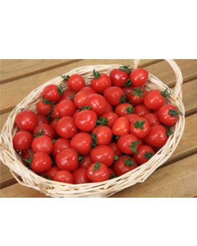 ��ͽ���������� ��� �� ��2��+��1��=���3�� ���å� ��������ʤꤵ�����ܥȥޥ� �ߥ˥ȥޥ� 9����ݥå� �ץ��ȥޥ� ����̵����4���Ⱦ���缡ȯ����