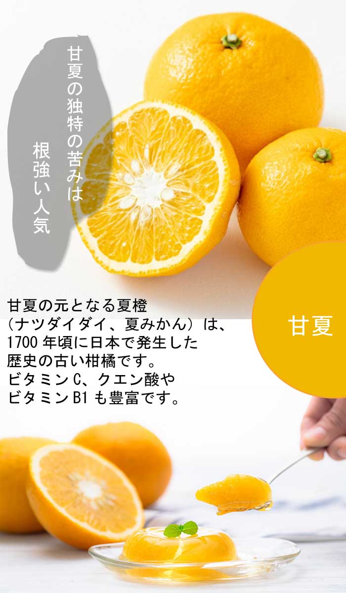 �ߤ��� ���� �Ų� �ȴŲ� 15����ݥå� �ߥ��� ���� ���� ������ ���ȷ���� �����ǥ˥� ��� ����̵�� ����