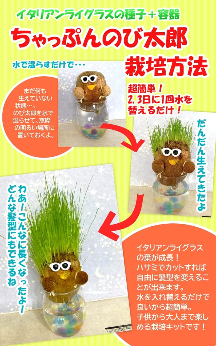����äפ�Τ���Ϻ �ڥ����ꥢ��饤���饹�μ���������� �� �ץ饹���å��ƴ�� ���ݥ��å� �ƻҤǳڤ���� ������  ���� ����ƥꥢ ��ͳ����
