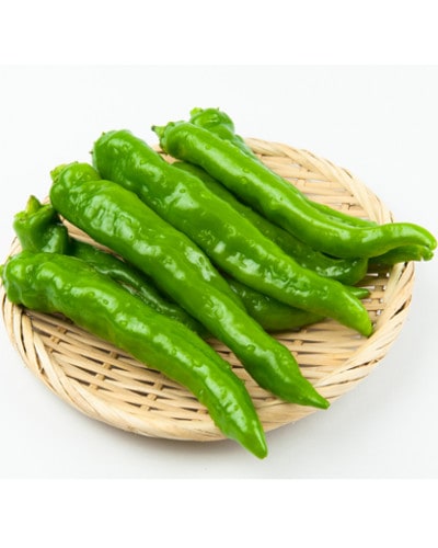 ��ͽ���������� ��� �� 3�� ���å� ������Ȥ����餷 9����ݥå� �䤵�� �ȥ����饷 ���� �����ڱ� �����ǥ˥� ����̵���ڣ����Ⱦ���缡ȯ����