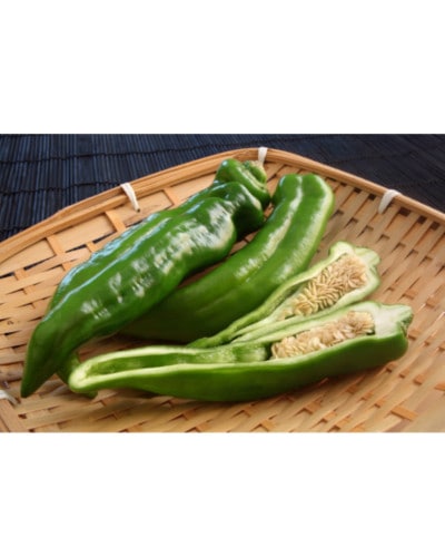 ��ͽ���������� ��� �� 3�� ���å� ������Ȥ����餷 9����ݥå� �䤵�� �ȥ����饷 ���� �����ڱ� �����ǥ˥� ����̵���ڣ����Ⱦ���缡ȯ����