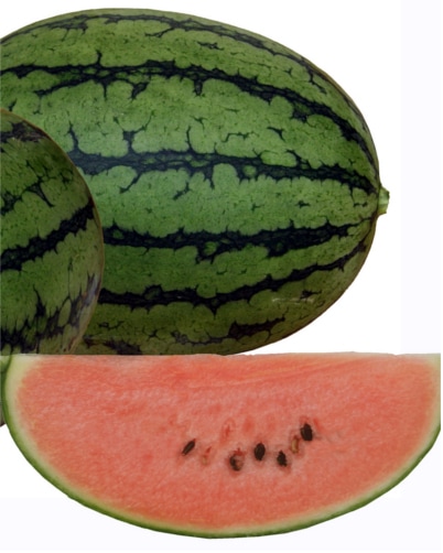 ��ͽ���������� ��� �� ������ �������� �ޤ��� �־��� ������ 9����ݥå� �䤵�� �����ڱ� �����ǥ˥󥰡ڣ����Ⱦ���缡ȯ����