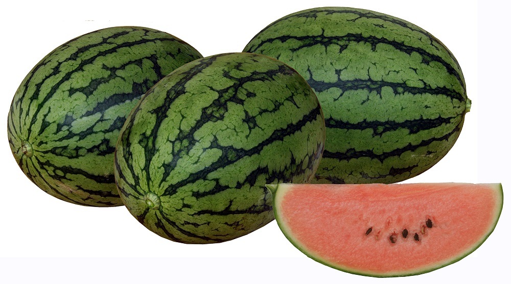 ��ͽ���������� ��� �� ������ �������� �ޤ��� �־��� ������ 9����ݥå� �䤵�� �����ڱ� �����ǥ˥󥰡ڣ����Ⱦ���缡ȯ����