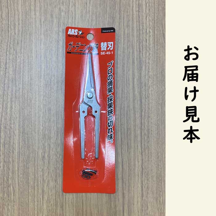 ���륹 ���� �ؿ� �����ǥ˥��� SE-45�� �ؿϤΤ� �����ǥ˥� ��� �Ϥ��� �� �ϥ���