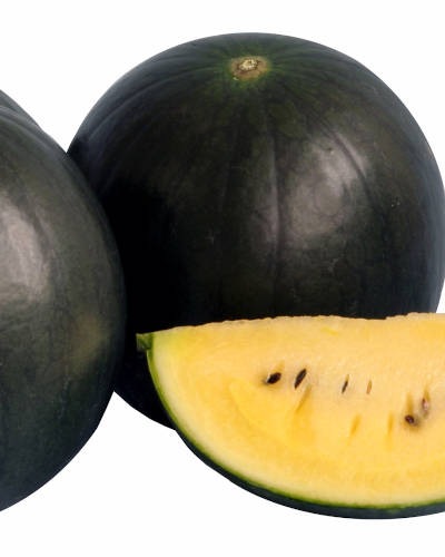 ��ͽ���������� ��� �� ������ ���������������� �����̹��� ������ 9����ݥå� ���� ���� �䤵�� �����ڱ� �����ǥ˥󥰡ڣ����Ⱦ���缡ȯ����