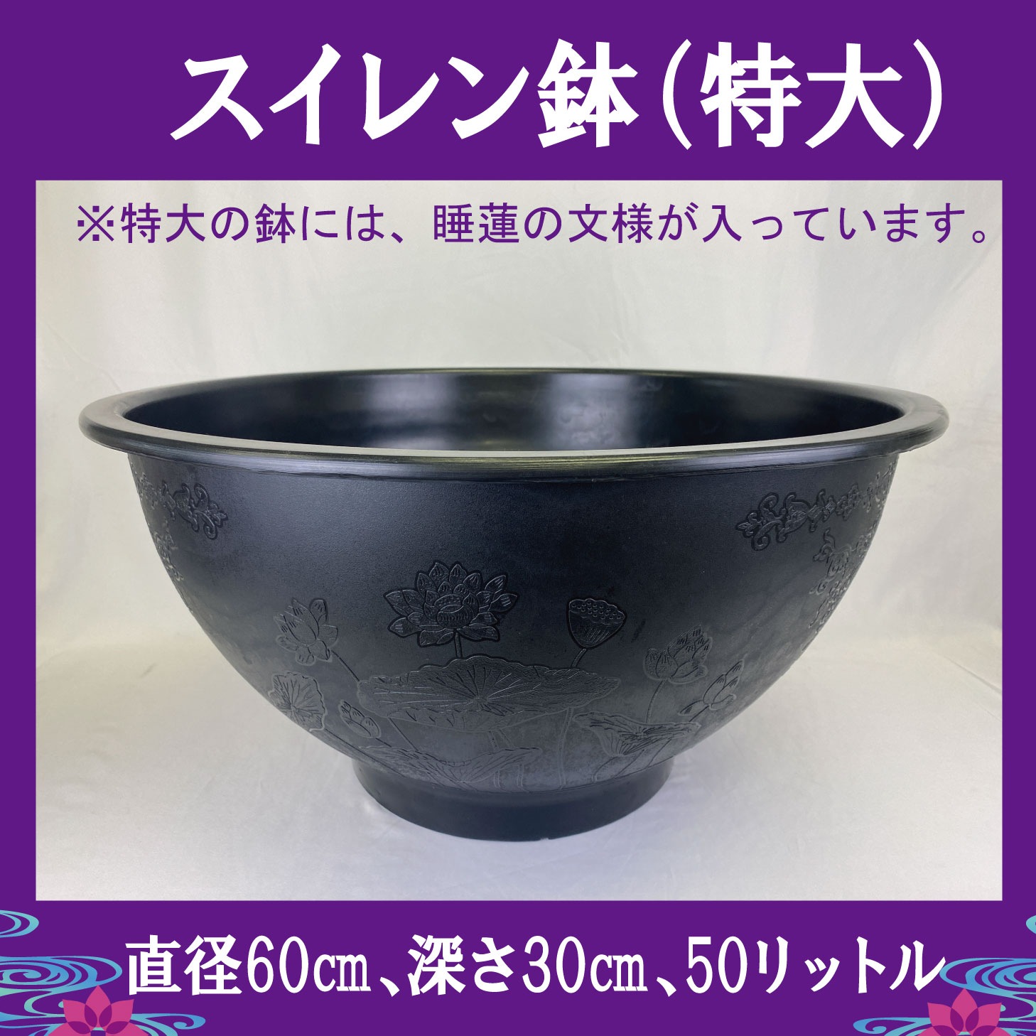 ������� ȭ ���� ľ��60cm ����30cm 50��åȥ� �ץ饹���å� �ڤ�