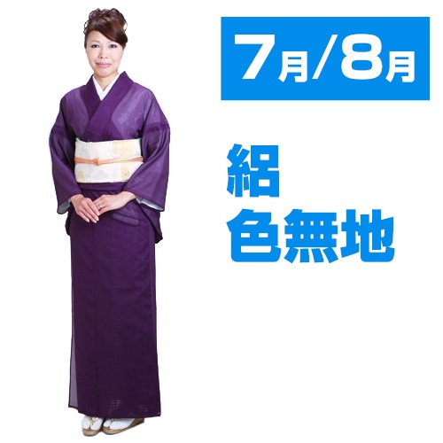 色無地 【絽】 レンタル 7月～8月 紫色 お宮参り 偲ぶ会 お別れ会 NT