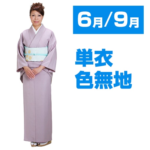 【単衣】正絹　訪問着　風景柄　居敷当て無し 色無地 【単衣】 レンタル 6月・9月 〔高級正絹〕 藤色 お宮参り