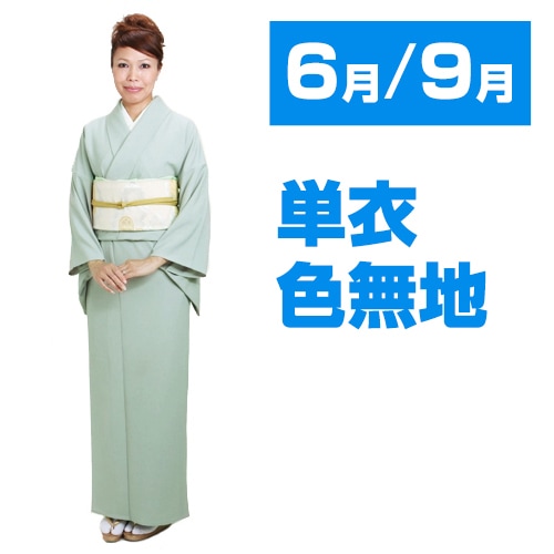 ◇おふく◇単衣の色無地 紋入り 凄