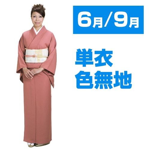 美品 単衣 三越謹製 着物“色を引き、空間と視覚を操る万華鏡☆”色無地 S-98 色無地 【単衣】【広幅】 レンタル 6月・9月 〔高級正絹