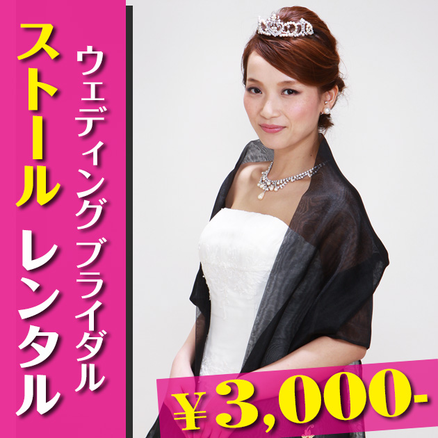 ���ȡ��� ��󥿥륫�顼�ɥ쥹 ���ȡ��� �֥�å� �� ���硼�� st-f4285b