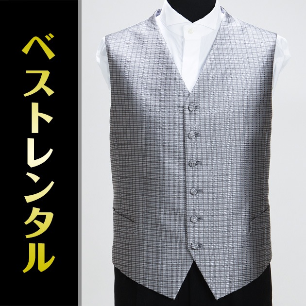 �ե����ޥ�٥��� ���졼 v-018