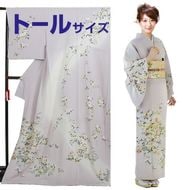 訪問着 レンタル 袷 10月〜5月［トールサイズ 〜175cm] お茶会 卒業式 入学式 着物 パープル FAD8005T