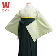 ´�ȼ� �� ��󥿥� �礭�������� ���� ��Ĺ��165cm,11���15�� NT-houmon-l112