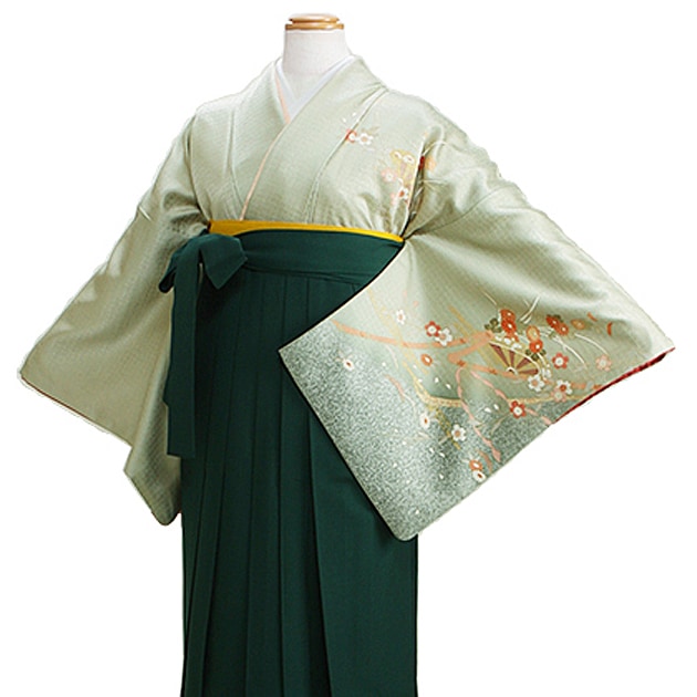 ´ȼ  󥿥 ꡼ Ĺ160cm,911 NT-houmon28