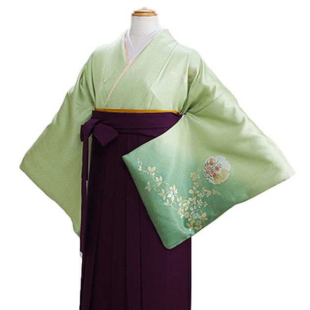 ´ȼ  󥿥 ɥ꡼ Ĺ165cm,713 NT-houmon53