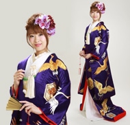 打掛 レンタル 色打掛 紫色 亀甲に鶴 パープル NT-207 送料無料 色打掛レンタル 紫色/亀甲に鶴 NT-207 | 色打掛レンタル | | 花嫁衣裳.com