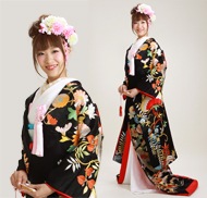 昔の花嫁衣裳 色打掛レンタル 黒色/老松に藤 NT-134 | 色打掛レンタル