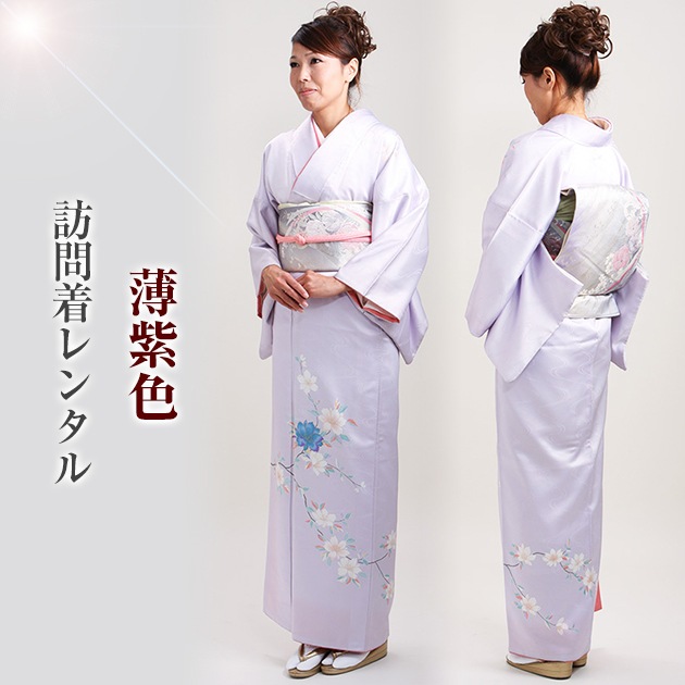 ˬ 󥿥  105Ρ160cm]  ´ȼ ؼ ʪ FAD0101