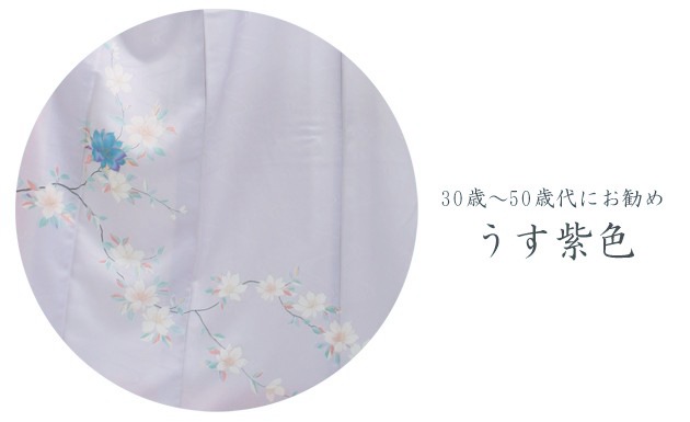 ˬ 󥿥  105Ρ160cm]  ´ȼ ؼ ʪ FAD0101