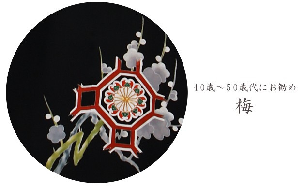 ��αµ ��󥿥��140cm��150cm/13���17��̡ͷ뺧�� ��ʪ��󥿥� FAAL071