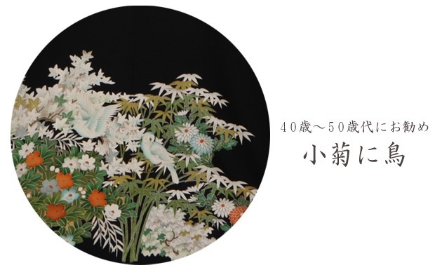 αµ 󥿥145cm150cm/711̡ͷ뺧 ʪ󥿥 FAAS154