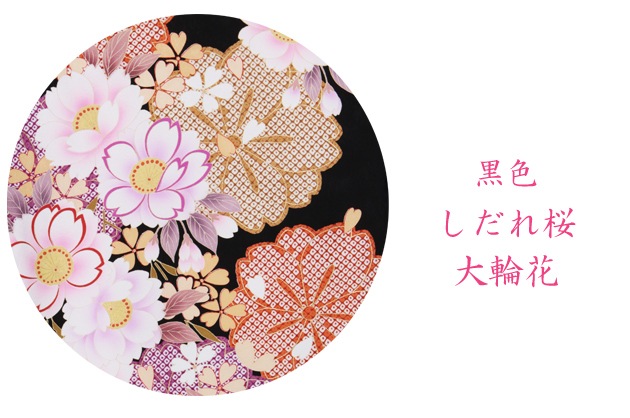 ´�ȼ� �� ��󥿥���濶µ+�ӡ�  �礭�������� ���� ����������ز� ��Ĺ��163cm,11���15�� NT-F228