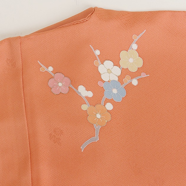 ��������´�ȼ� �� ��󥿥� �������ԥ󥯿�/�� ��Ĺ��165cm,9���13�� NT-houmon26