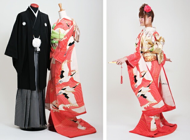 ������µ��󥿥� �ֿ�/ή����� NT-31