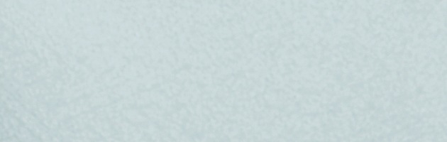 ��̵�� ��󥿥� �� 10���5����� �֥롼���졼�� ��ʪ ���ܻ��� FDD0016