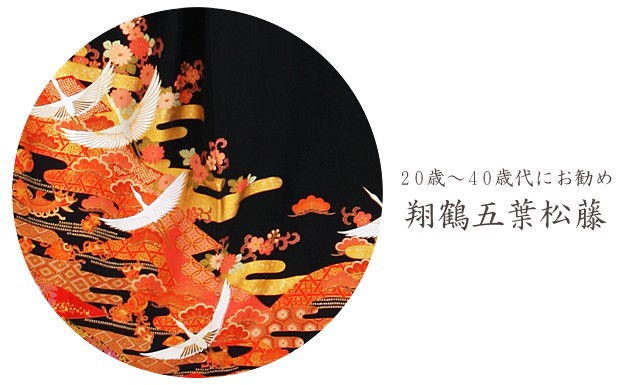 αµ 󥿥150cm163cm/711̡ͷ뺧 ʪ󥿥 FAA0899