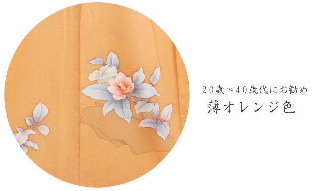 ˬ 󥿥  105Ρ150cm]  ´ȼ ؼ ʪ FAD0014