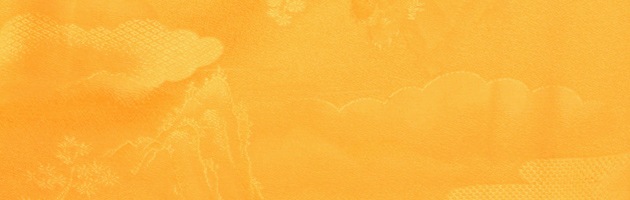 ´ȼ  󥿥 ῧ ̵ Ĺ155cm,713 NT-muji39