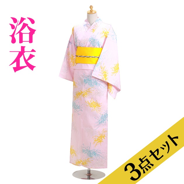 ����� ��󥿥�ۥ�ǥ����� 3�����åȡ���ᡦ�ӡ����̡�nt-y059 �ԥ󥯿�/�����֥롼����С� �������