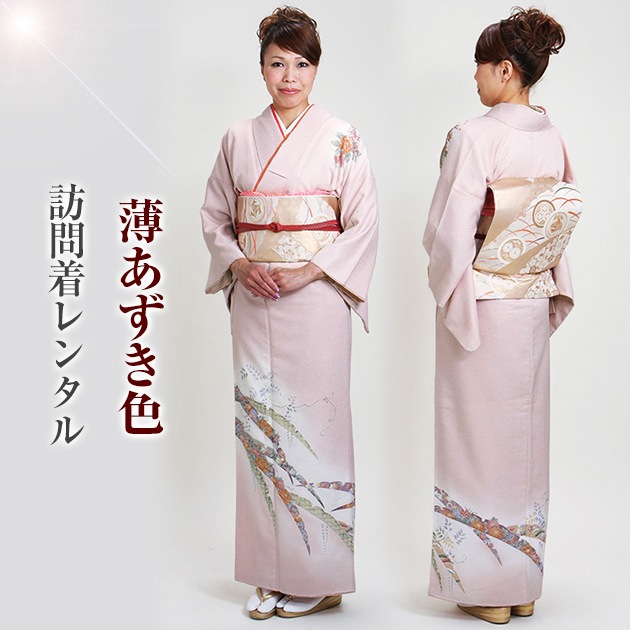 ˬ 󥿥  105Ρ160cm]  ´ȼ ؼ ʪ FAD0103