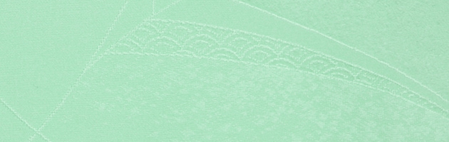 ̵ 󥿥  105  ߤɤ꿧 ʪ  ܻ FDD0025