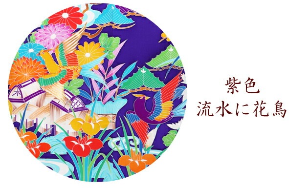 ������µ��󥿥� �翧/��˲�Ļ NT-72