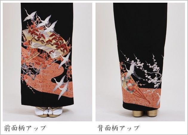 αµ 󥿥145cm160cm/913̡ͷ뺧 ʪ󥿥 FAAL317