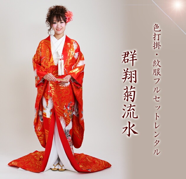 ���ǳݥ�󥿥� �ֿ�/���Ƶ�ή�� NT-703