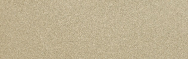 ´�ȼ� �� ��󥿥� �١����忧 ��Ĺ��160cm,5���9�� NT-muji92