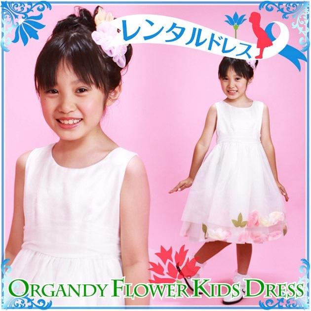 �Ҷ� �ɥ쥹 ��󥿥� 9��11�� �� �Ρ����꡼�� ka720b