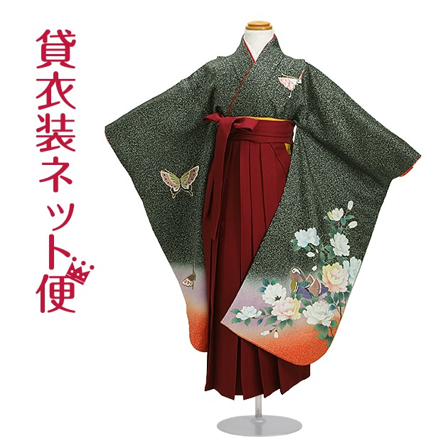  󥿥 λ/57 ޻ʪ 7 ޻ʪ7 /ᤪɤ ´༰ 뺧 NT-135