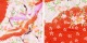 ޻ ۥå 󥿥 λ 3 뿧/̿Ĺ84cm´༰ 뺧 NT-322-26