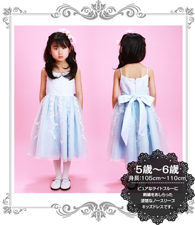 �Ҷ� �ɥ쥹 ��󥿥� 5��6�� �֥롼�� �Ρ����꡼�� mf-001a