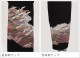 αµ 󥿥150cm158cm/1317̡ͷ뺧 ʪ󥿥 FAAL312