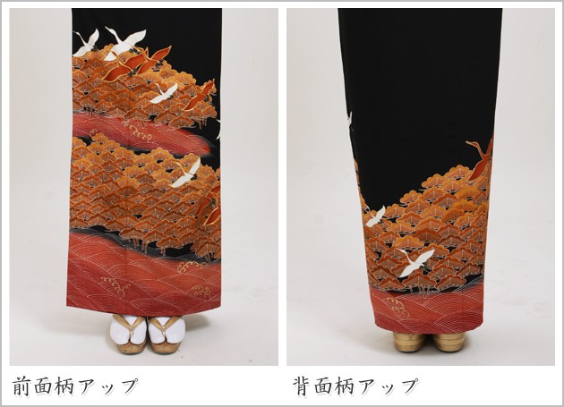 ��αµ ��󥿥��145cm��160cm/7���13��̡ͷ뺧�� ��ʪ��󥿥� FAA0742