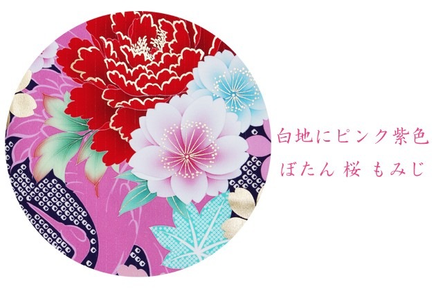 µ 󥿥 Ϥ˥ԥ󥯻翧/ܤ󡦺ߤ 뺧 ͼ Ǽ NT-301